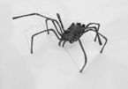 Zvětšit foto Plastika pavouka - popelník