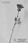 Kovářská růže s lístky