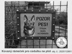 Kovan rmeek pro cedulku na plot - Pozor pes